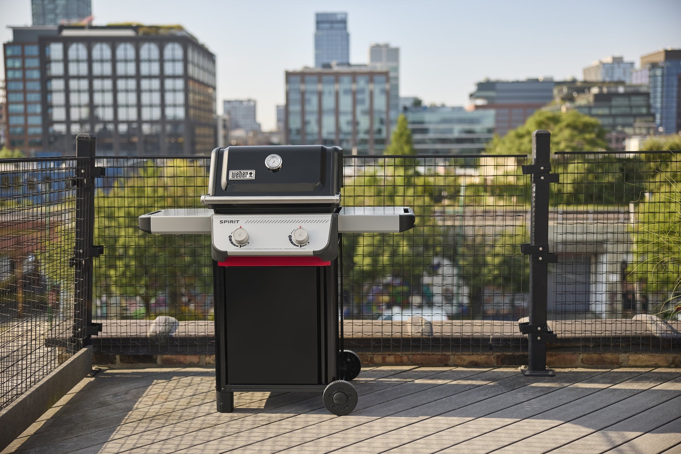 Weber Spirit Gas Grill, E-210 2 Burner Propane Gas Grill with Wheels, Black Gas Grills