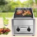 21 Radiant Char Broiler Grill 2 Burner Gas & Propane Commercial Restaurant Gas Grill 2800Pa for Backyard, Garden, Courtyard, Terrace