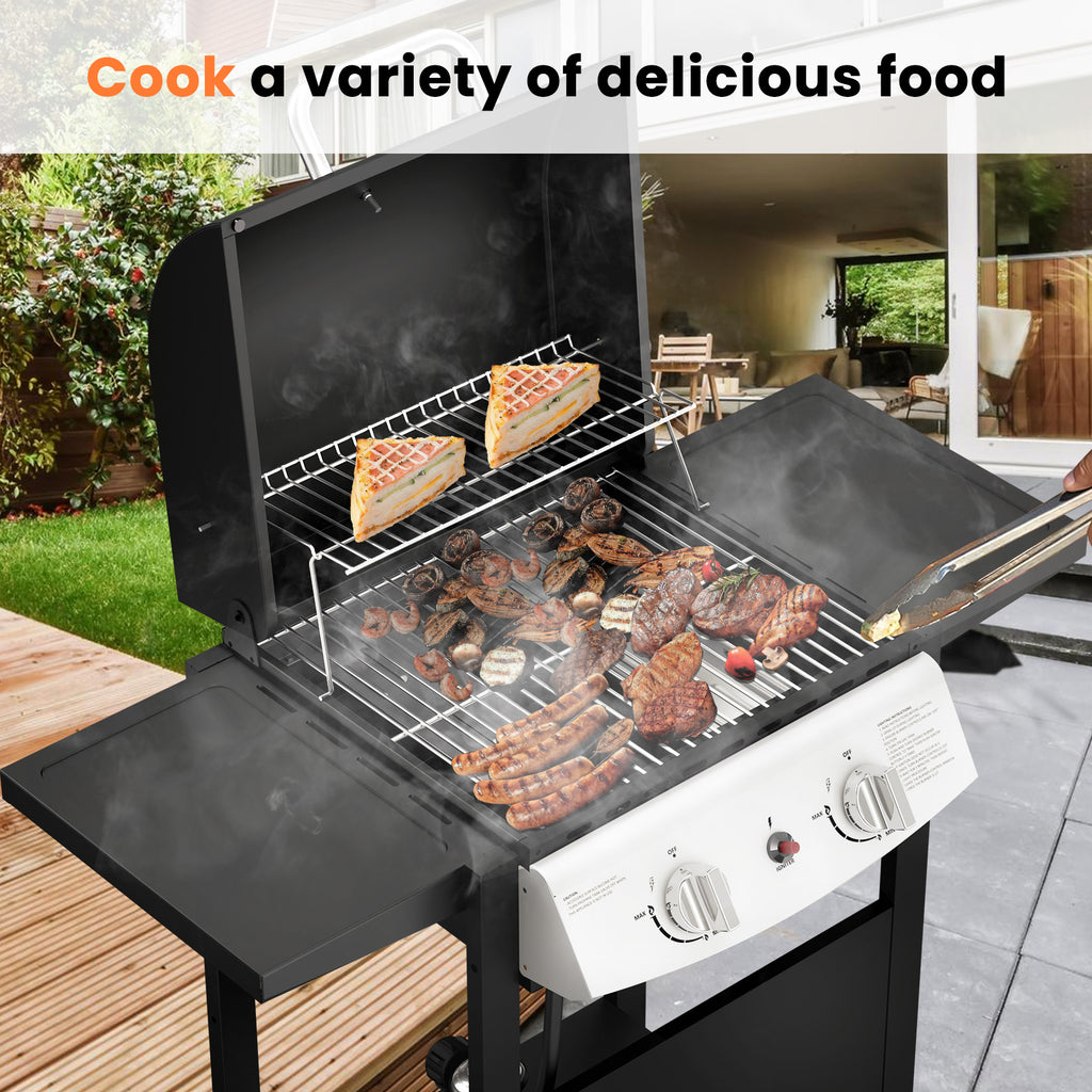 LHRIVER 2 Burner Gas Grill with Side Table, Portable Outdoor Barbecue Cooking BBQ, 20000BTU Gas Grills