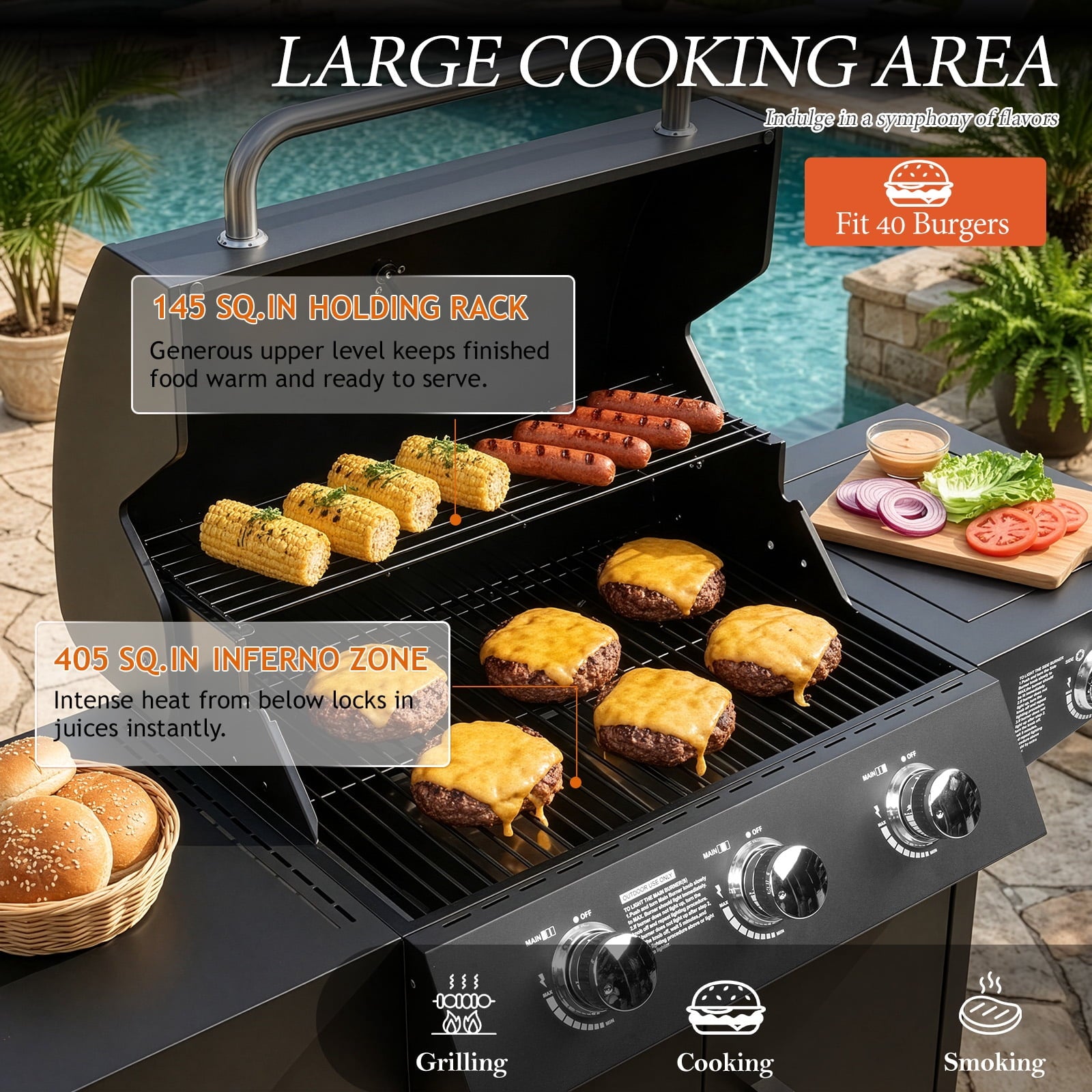 SalonMore Outdoor Gas Grill with Side Stove 46000BTU for Patio Outdoor Party Cooking BBQ SalonMore